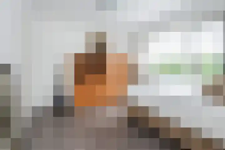 van Baerlestraat 35 Gouda thumbnail 21