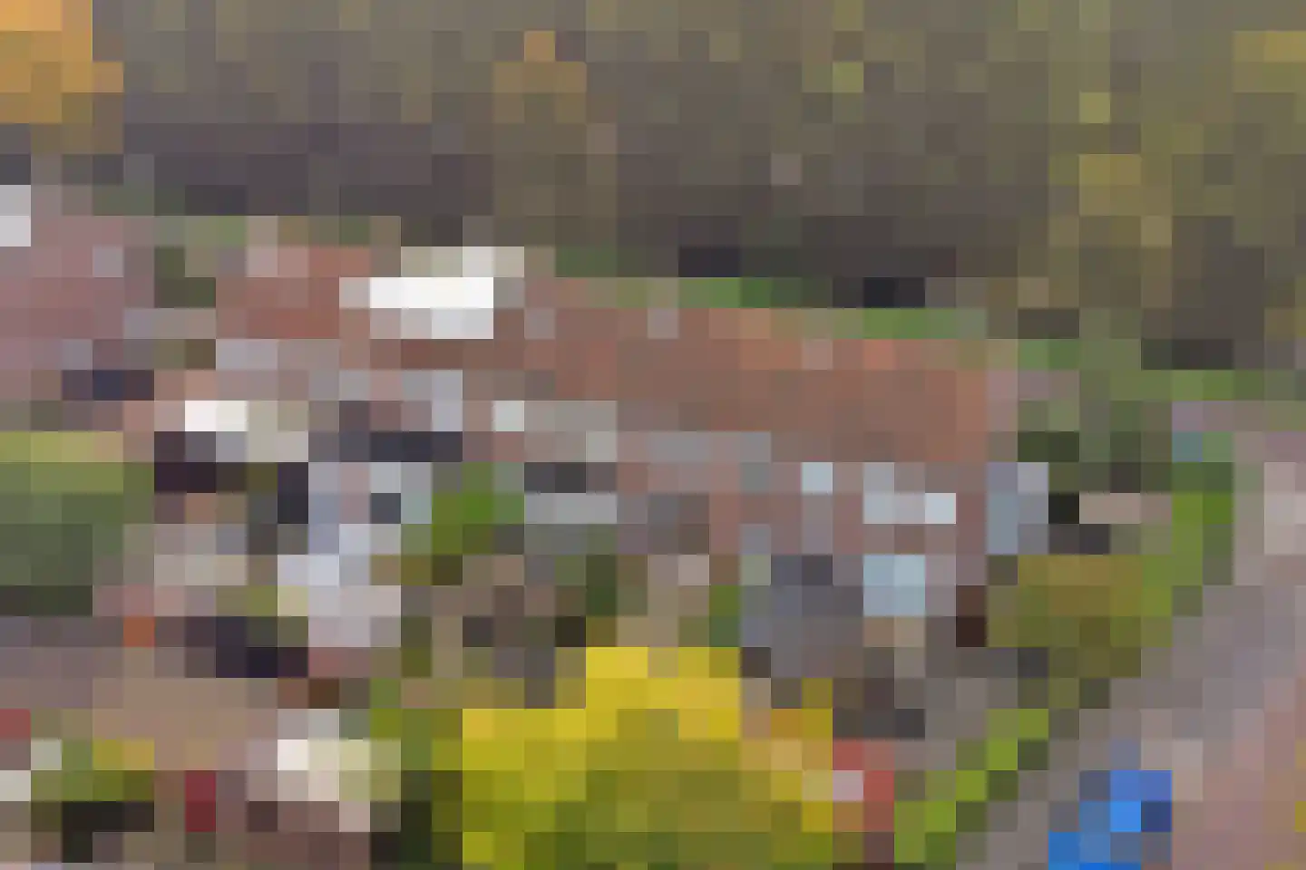 van Baerlestraat 49 Gouda thumbnail 35