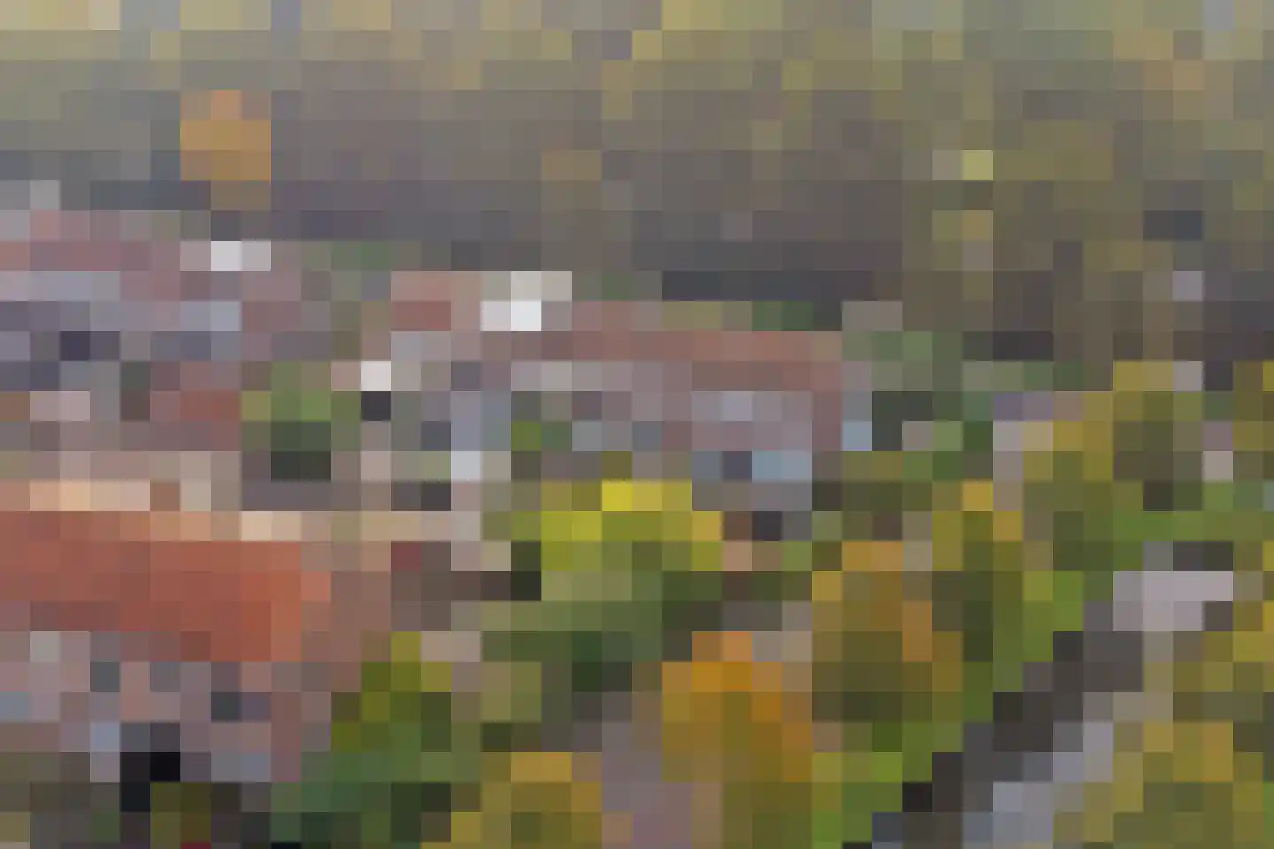 van Baerlestraat 49 Gouda thumbnail 36