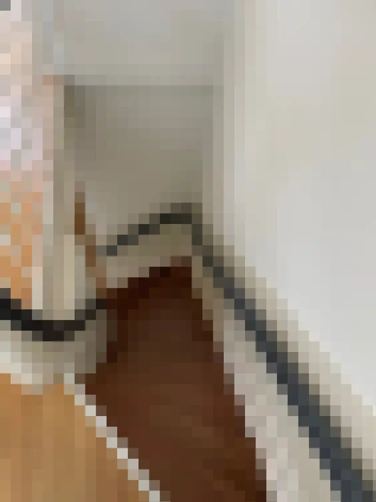 Van Baerlestraat 54 Amsterdam thumbnail 6