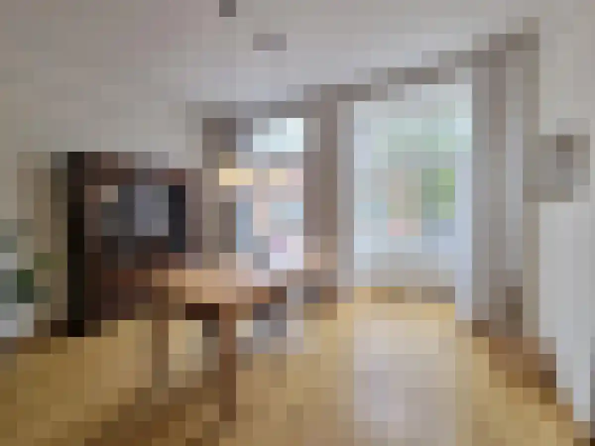 Van Baerlestraat 56 Amsterdam thumbnail 6