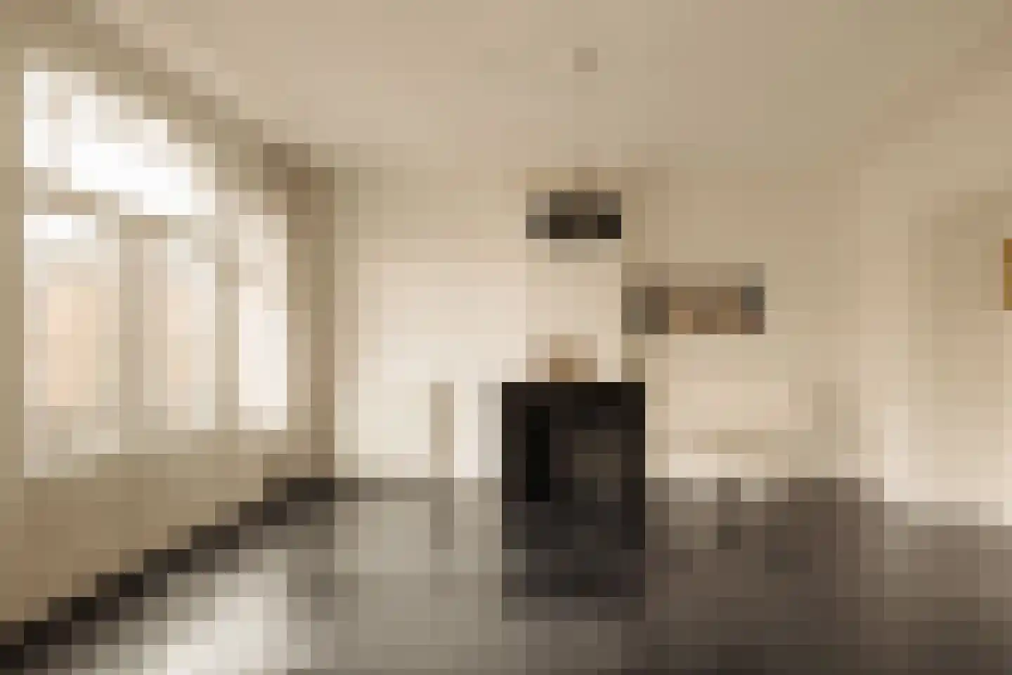 Van Baerlestraat 59 O Amsterdam thumbnail 14