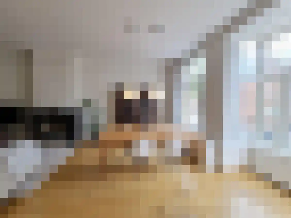 Van Baerlestraat 64 Amsterdam thumbnail 4