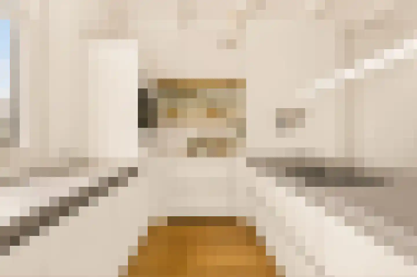 Van Baerlestraat 75 2 Amsterdam thumbnail 13
