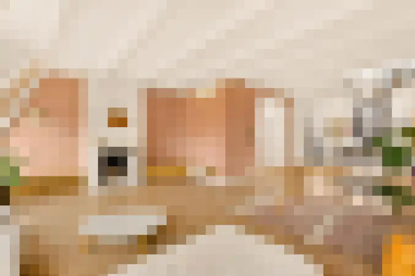 Van Baerlestraat 75 2 Amsterdam thumbnail 8
