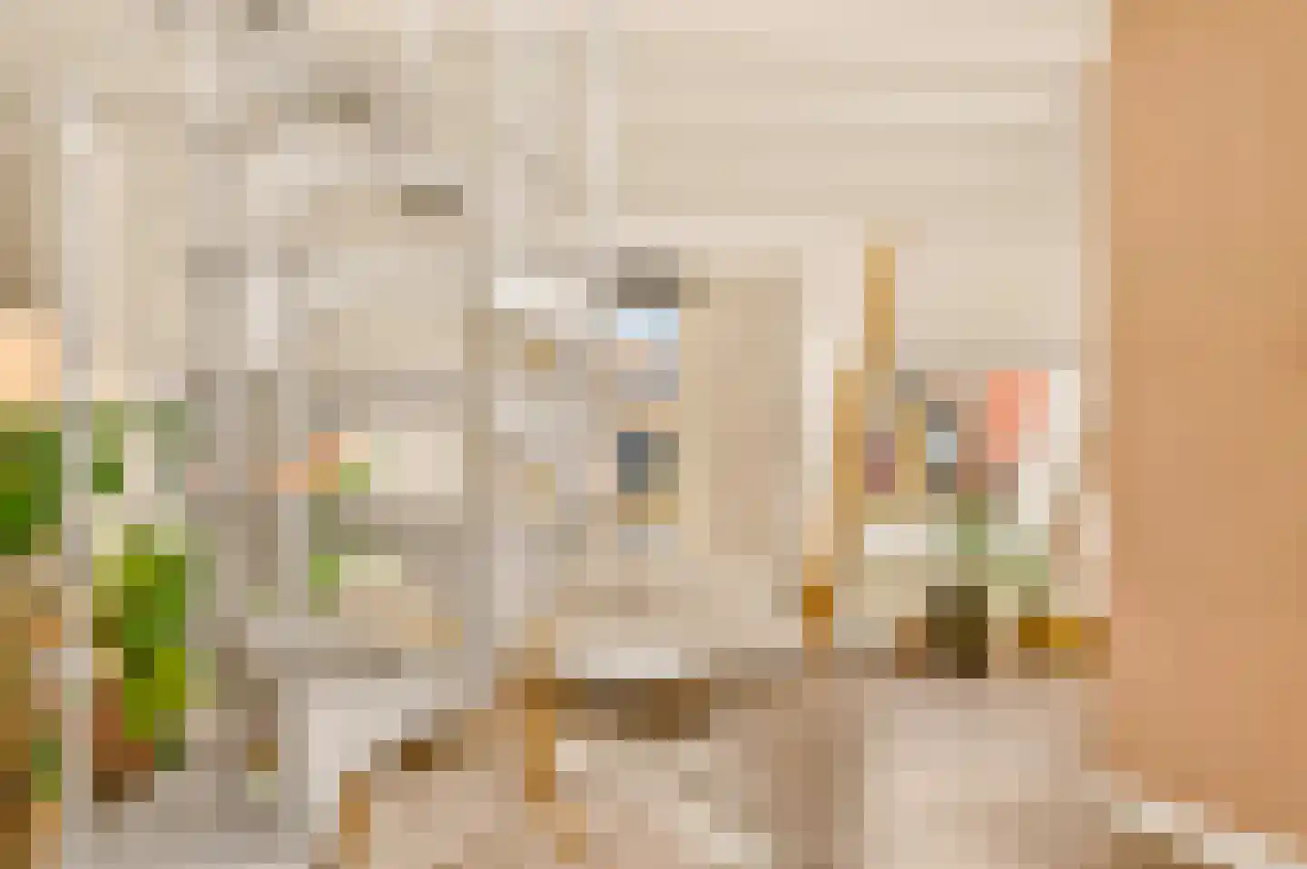 Van Baerlestraat 75 4 Amsterdam thumbnail 15