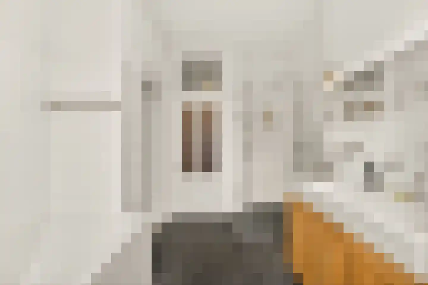 Van Baerlestraat 75 4 Amsterdam thumbnail 35