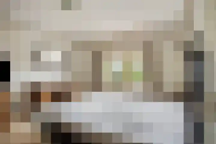 Van Baerlestraat 8 Bergen L thumbnail 19