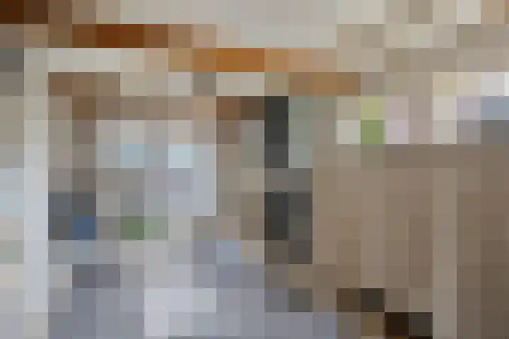 Van Baerlestraat 8 Bergen L thumbnail 35