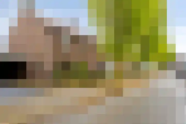 Van Baerlestraat 8 Bergen L thumbnail 36