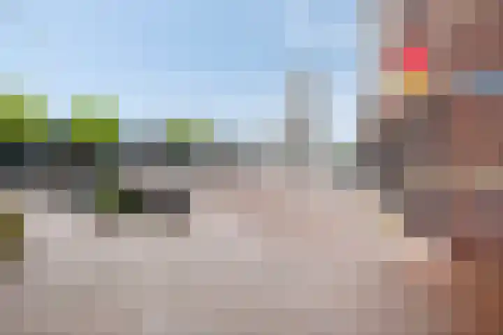 Van Baerlestraat 8 Bergen L thumbnail 38