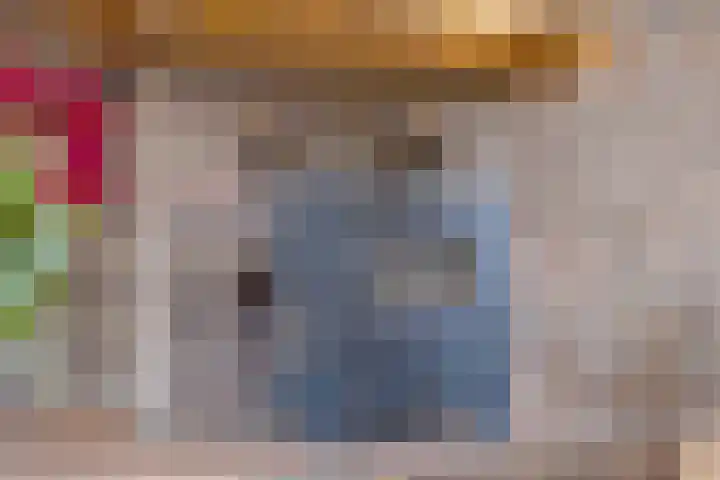 Van Baerlestraat 8 Bergen L thumbnail 5