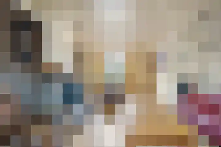 Van Baerlestraat 8 Bergen L thumbnail 6