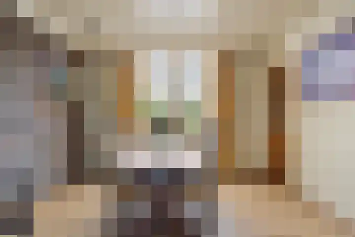 Van Baerlestraat 8 Bergen L thumbnail 7