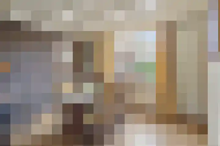Van Baerlestraat 8 Bergen L thumbnail 8