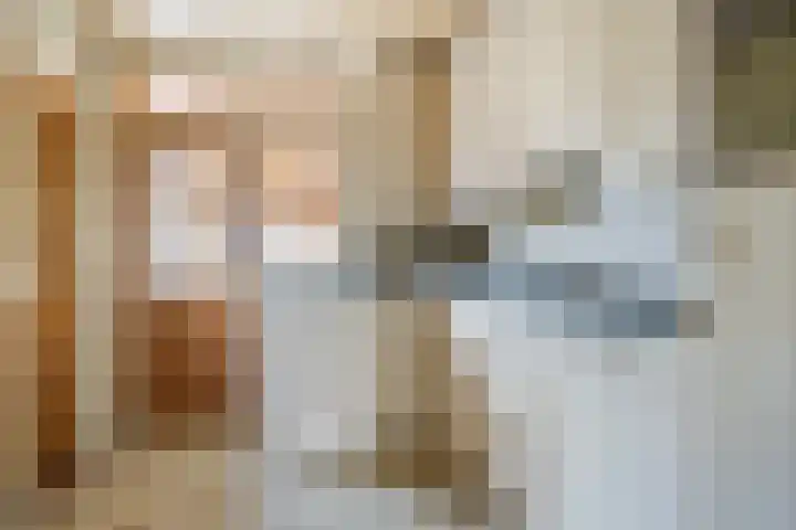 Van Baerlestraat 8 Bergen L thumbnail 9