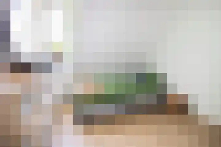 Van Baerlestraat 9 Haarlem thumbnail 23