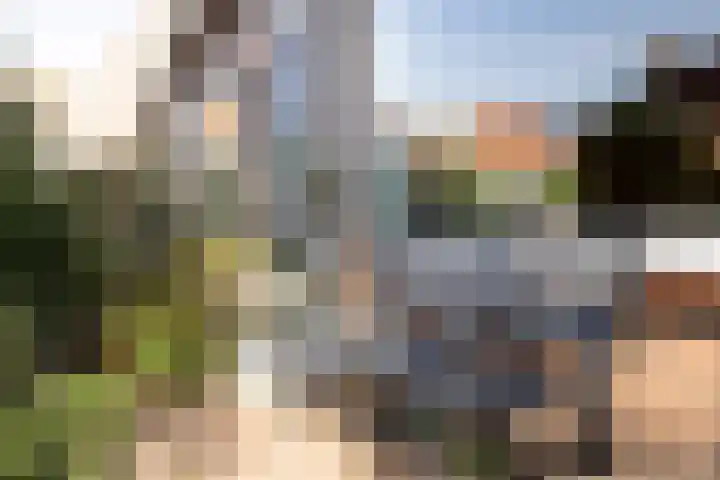 Van Baerlestraat 9 Haarlem thumbnail 4