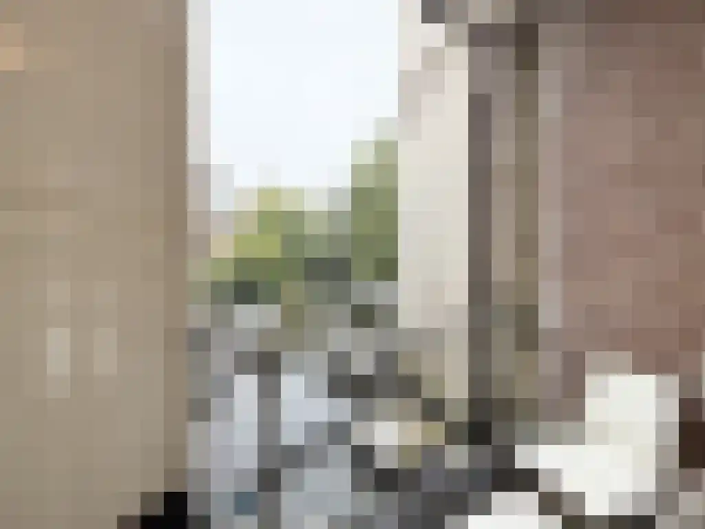 Van Baerlestraat 95 Amsterdam thumbnail 6