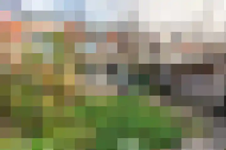 Van Ballegooijsingel 31 Rotterdam thumbnail 15