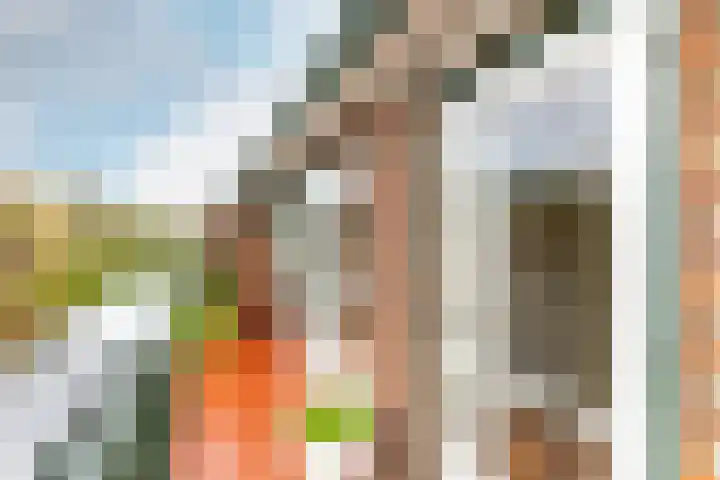 Van Ballegooijsingel 31 Rotterdam thumbnail 19