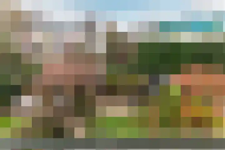 Van Ballegooijsingel 31 Rotterdam thumbnail 20