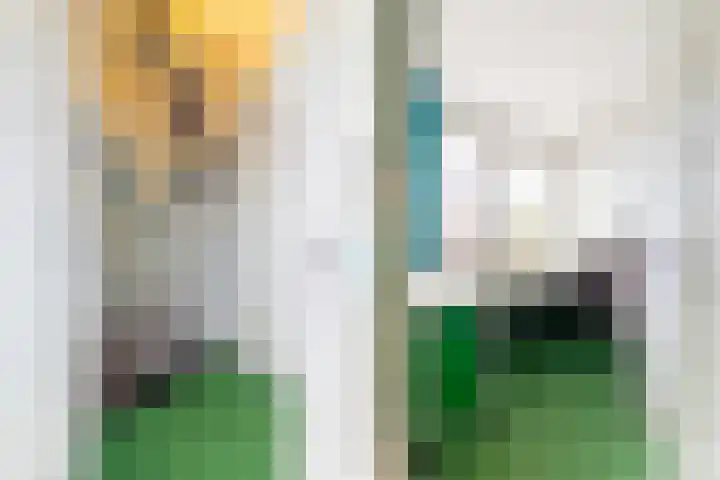 Van Ballegooijsingel 31 Rotterdam thumbnail 27