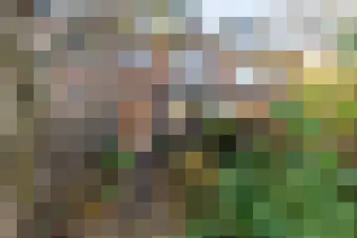 Van Ballegooijsingel 31 Rotterdam thumbnail 33