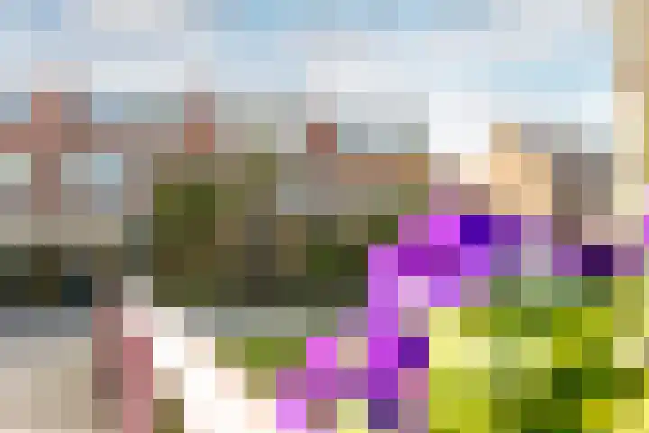 Van Ballegooijsingel 31 Rotterdam thumbnail 34