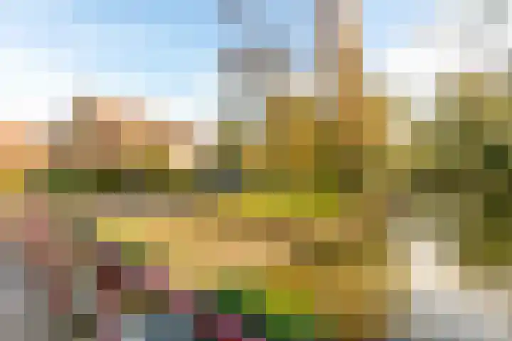 Van Ballegooijsingel 31 Rotterdam thumbnail 35