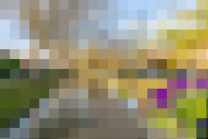 Van Ballegooijsingel 31 Rotterdam thumbnail 36