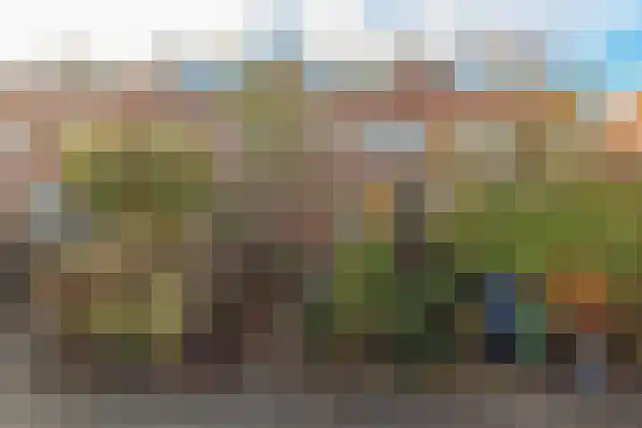 Van Ballegooijsingel 31 Rotterdam thumbnail 4