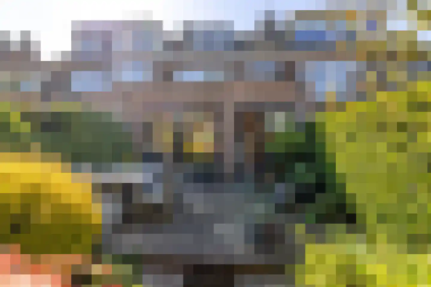 Van Ballegooijsingel 56 Rotterdam thumbnail 10