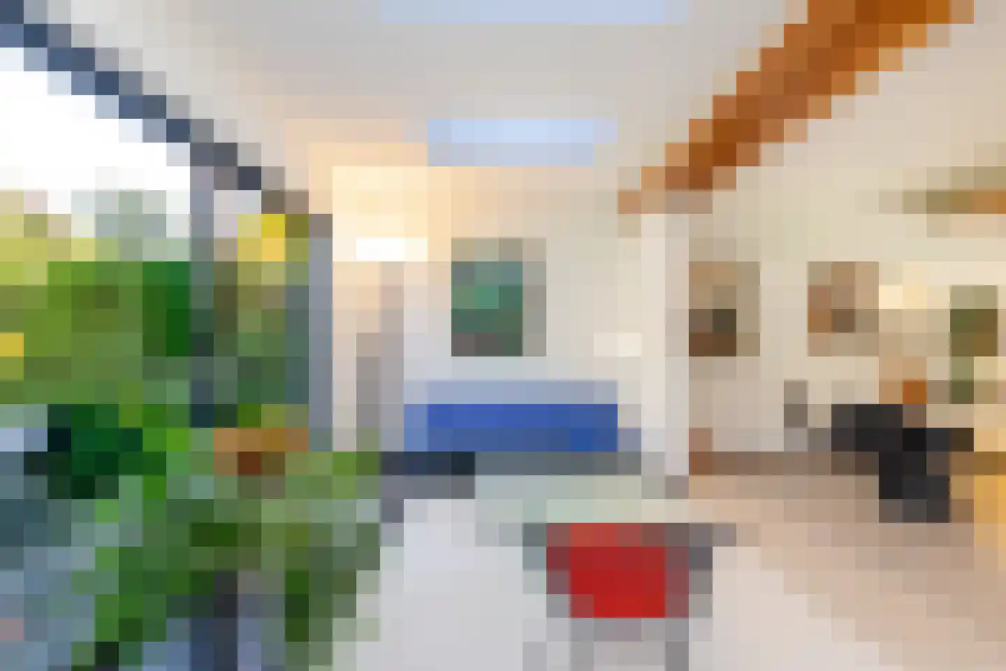 Van Ballegooijsingel 56 Rotterdam thumbnail 14
