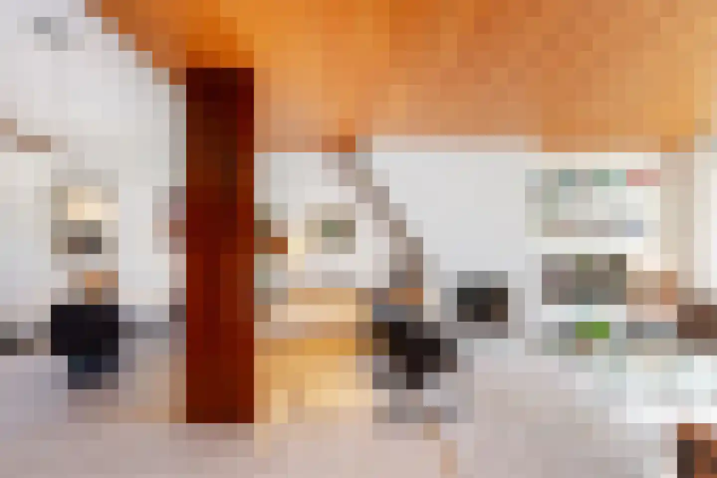 Van Ballegooijsingel 56 Rotterdam thumbnail 18