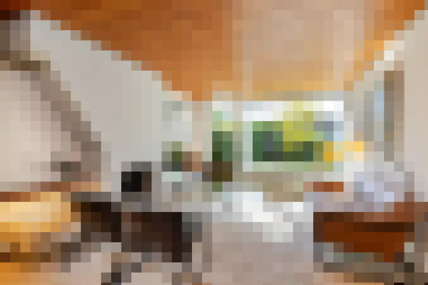Van Ballegooijsingel 56 Rotterdam thumbnail 19