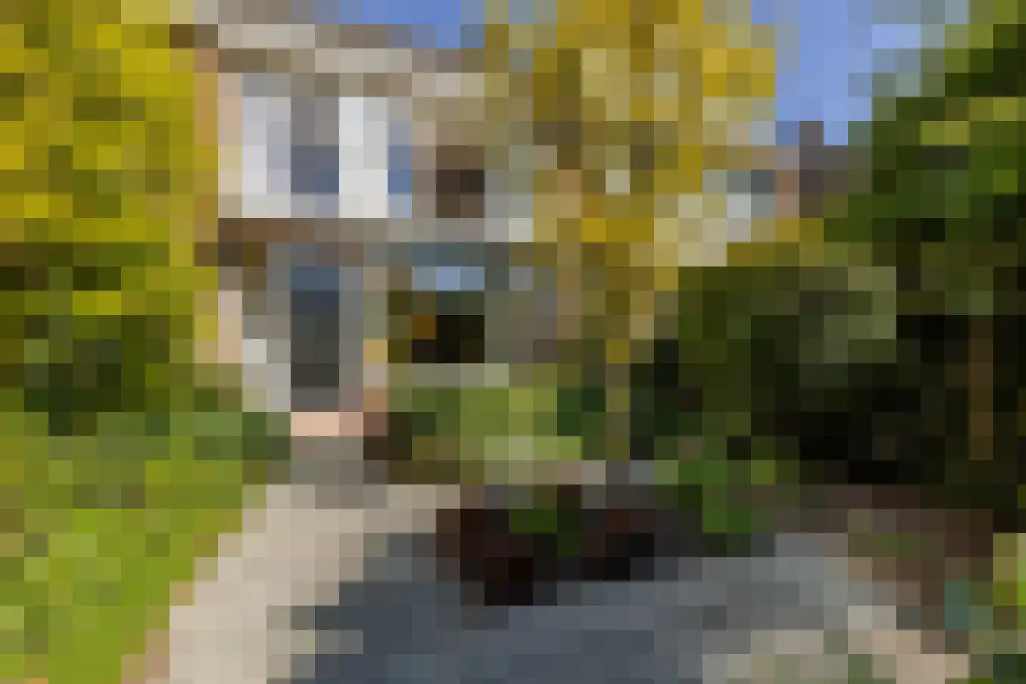 Van Ballegooijsingel 56 Rotterdam thumbnail 5