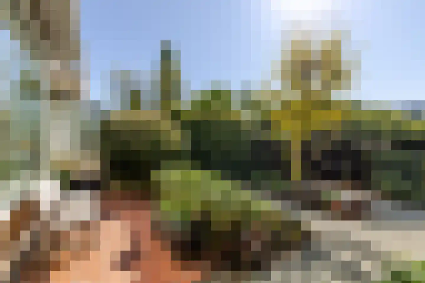 Van Ballegooijsingel 56 Rotterdam thumbnail 52