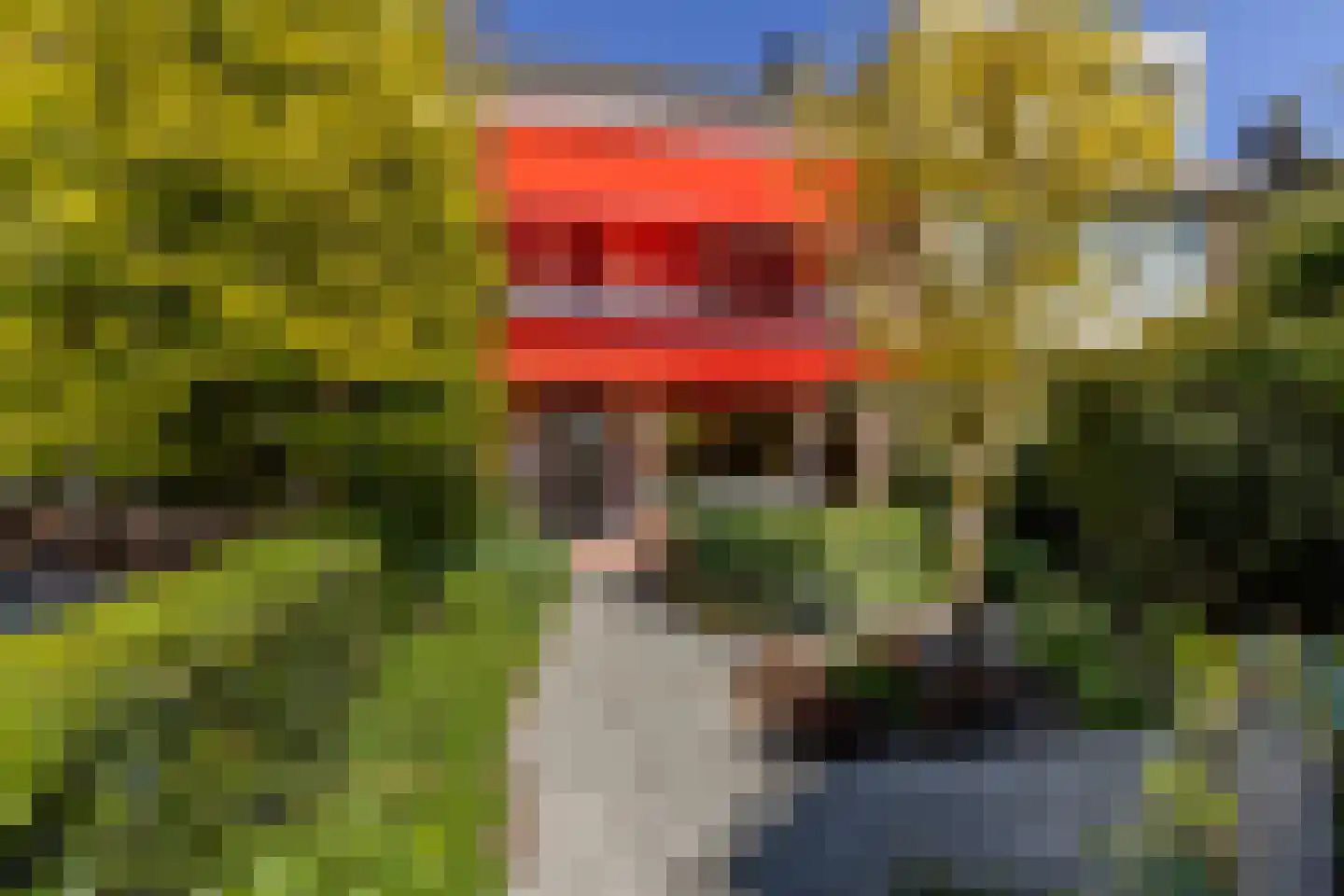 Van Ballegooijsingel 56 Rotterdam thumbnail 6