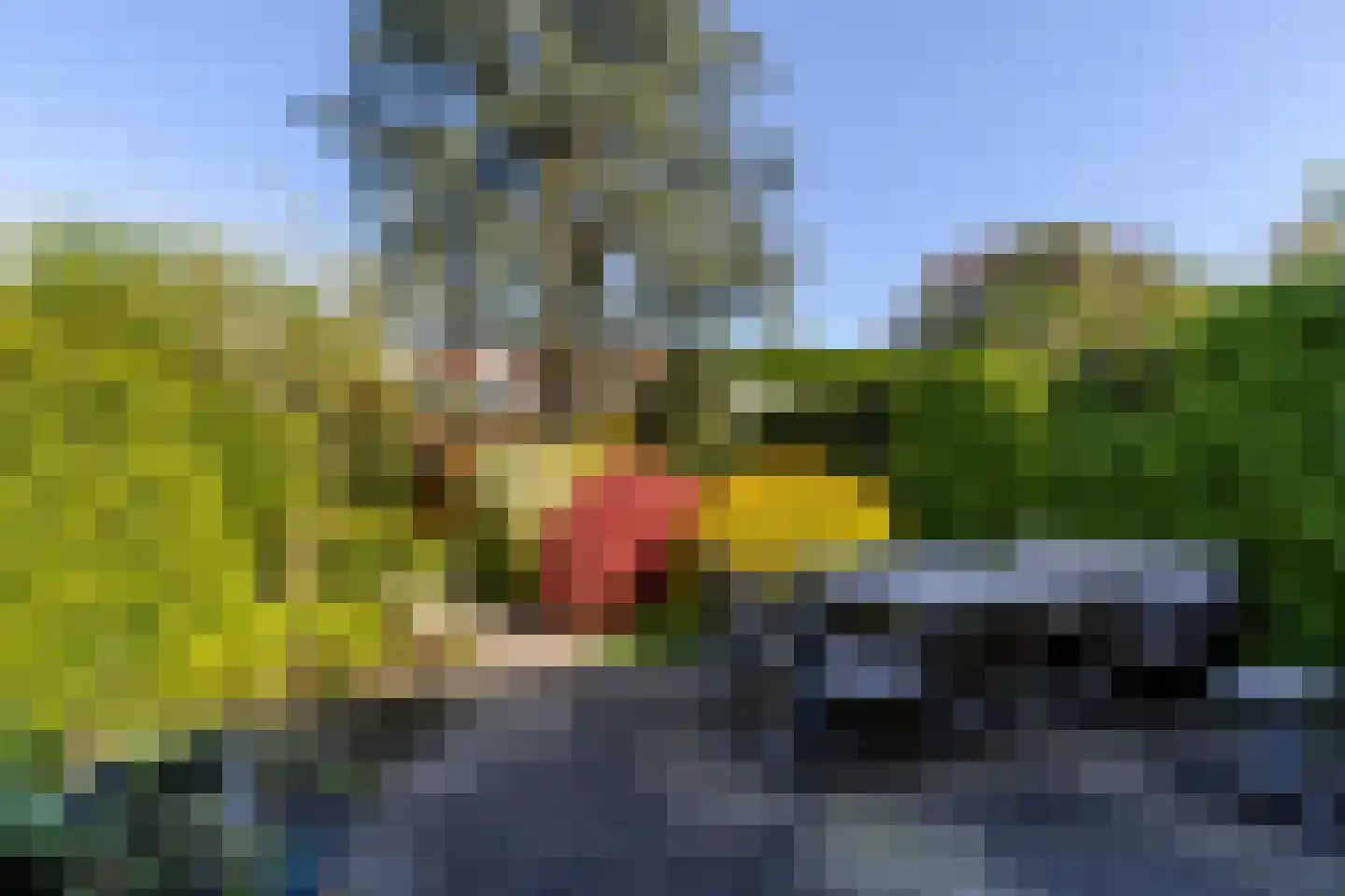 Van Ballegooijsingel 56 Rotterdam thumbnail 7