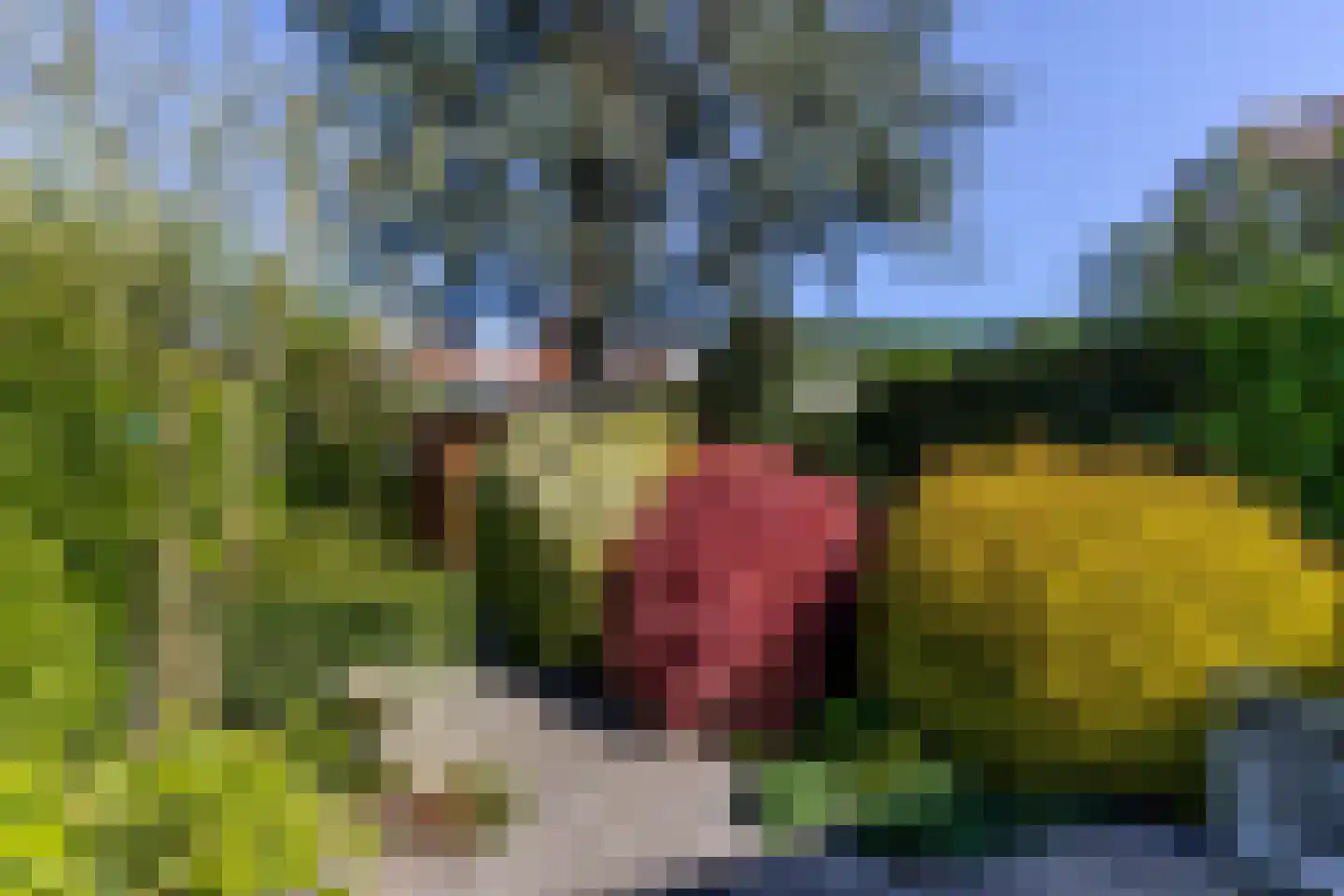 Van Ballegooijsingel 56 Rotterdam thumbnail 8