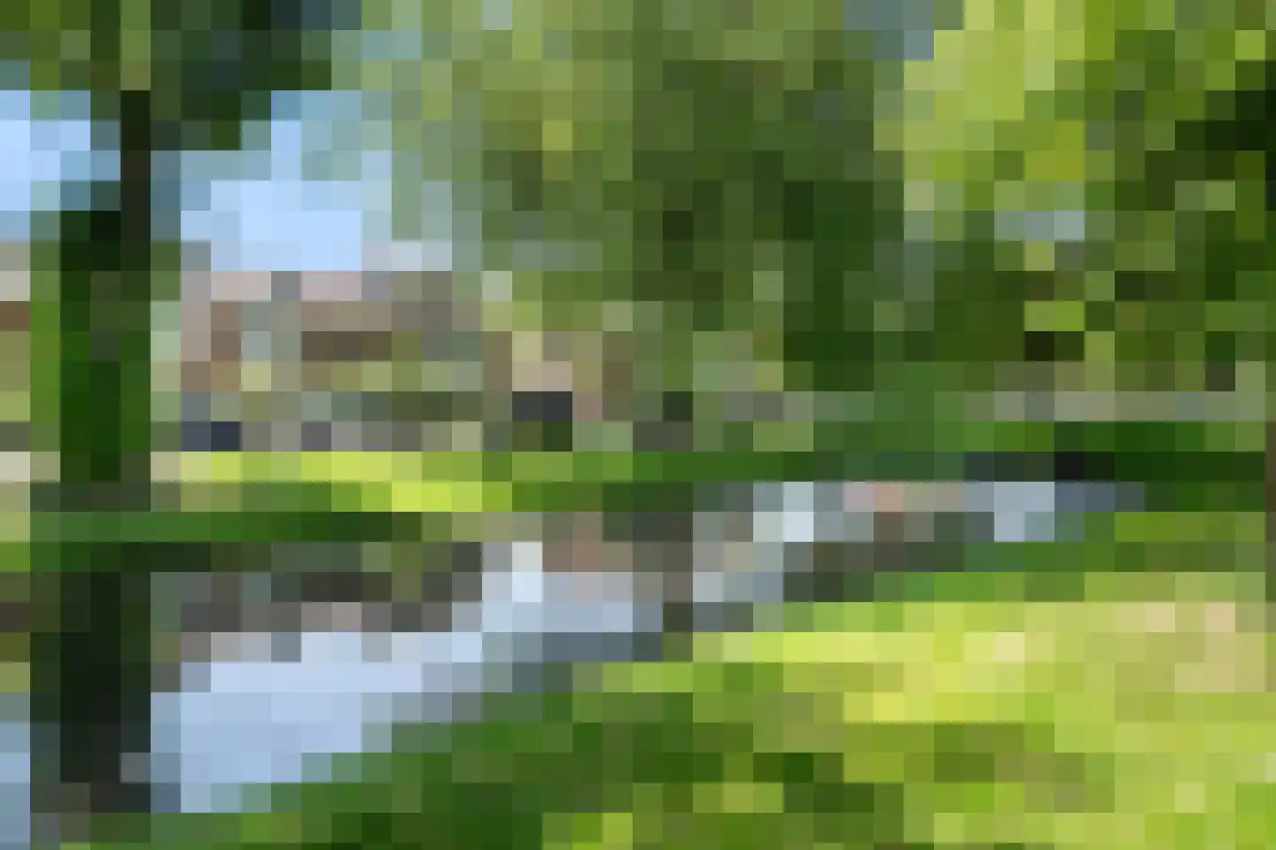 Van Ballegooijsingel 7 Rotterdam thumbnail 39