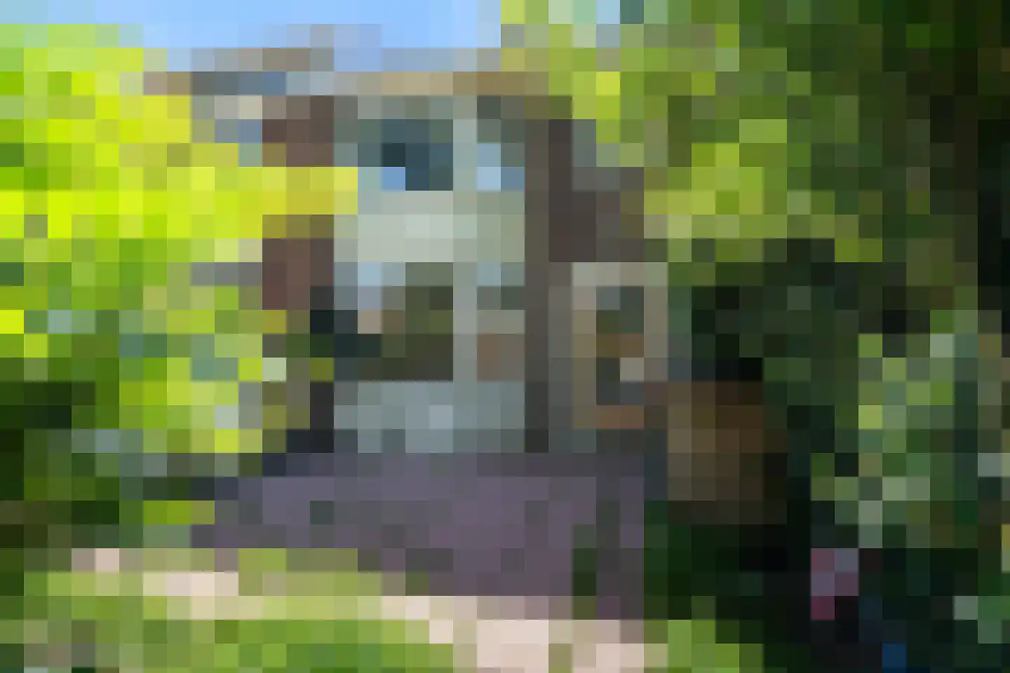 Van Ballegooijsingel 7 Rotterdam thumbnail 5