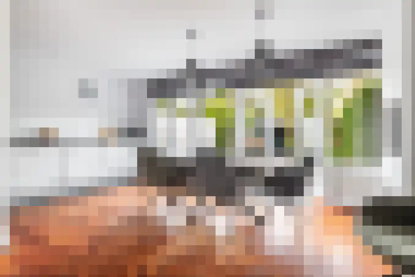 Van Ballegooijsingel 80 Rotterdam thumbnail 11