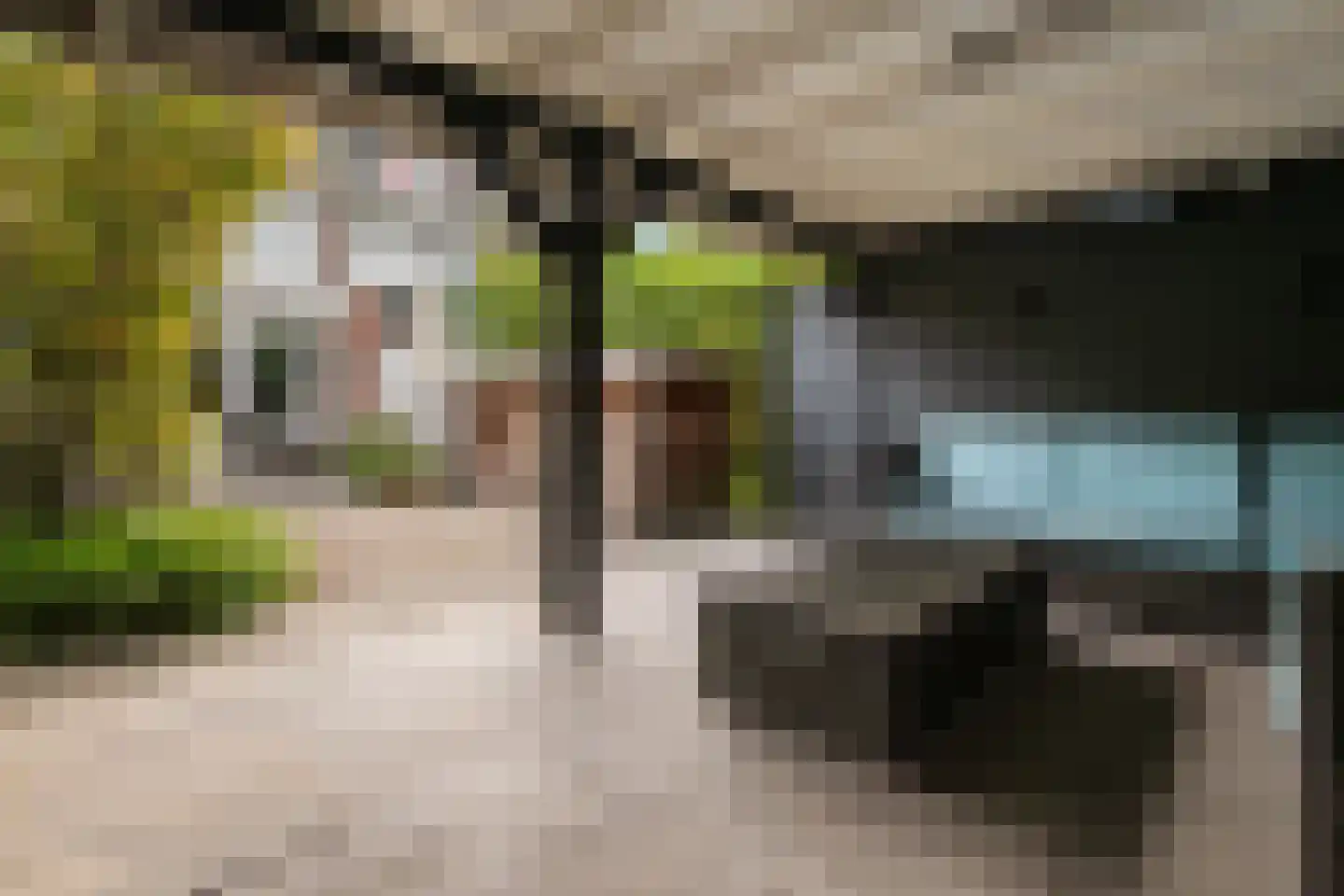 Van Ballegooijsingel 80 Rotterdam thumbnail 17