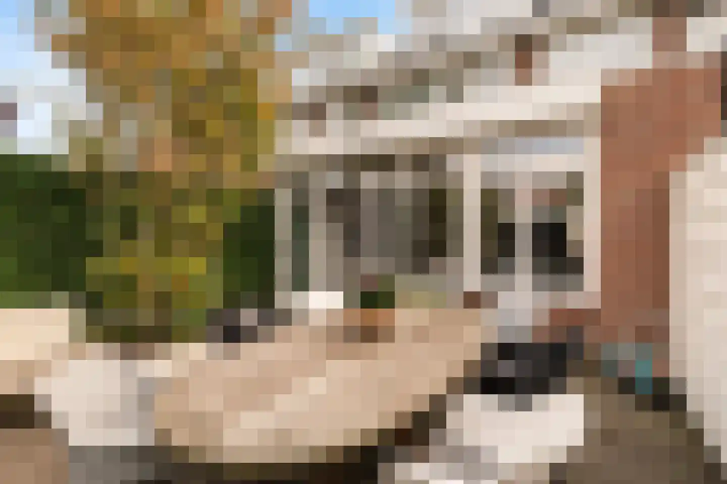 Van Ballegooijsingel 80 Rotterdam thumbnail 20