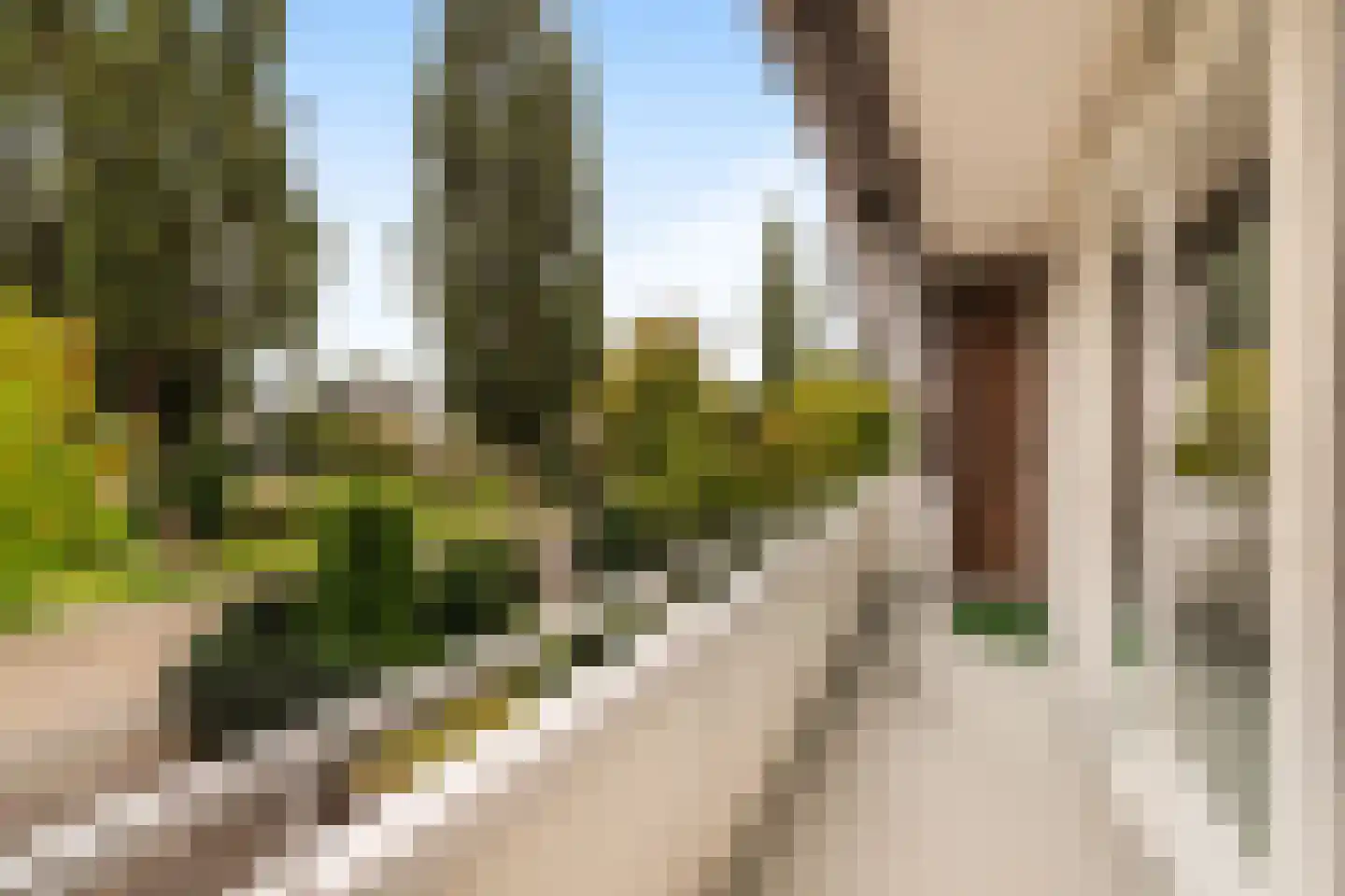 Van Ballegooijsingel 80 Rotterdam thumbnail 23