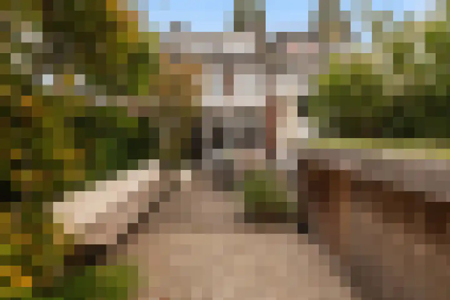 Van Ballegooijsingel 80 Rotterdam thumbnail 4