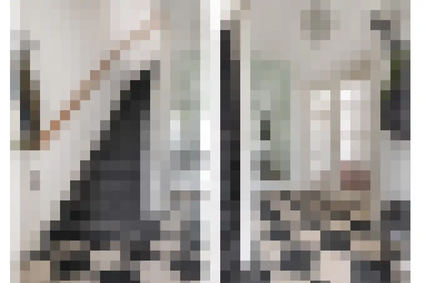 Van Ballegooijsingel 80 Rotterdam thumbnail 5