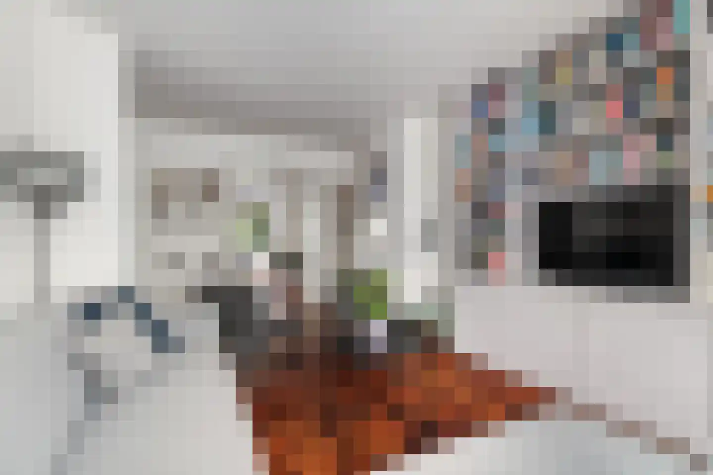 Van Ballegooijsingel 80 Rotterdam thumbnail 6